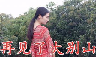 再见了大别山简谱 再见了大别山简谱